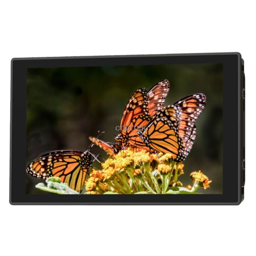 Comprar Monitores vídeo Portkeys HD7T Monitor