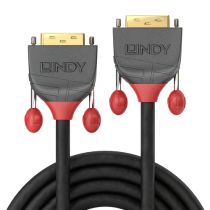 Lindy 10M DVI-D SINGLE LINK Cabo  ANTHRA