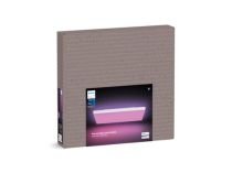 Philips Hue Blanc Color Ambiance Datura 600x600mm