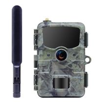 achat Appareil photo numérique autres - Caméra numérique Stealth Gear Hedgehog 1080p 4G Wildcamera 720132