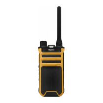achat Conférence vidéo - HYTERA AP525LF Radio conventionnelle analogique 446MHz sans licence av AP525LF