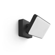 Philips Hue Blanc Welcome Projecteur noir 2300lm