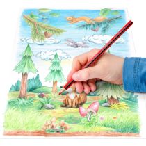 STAEDTLER Crayon couleur Noris colour 12pcs