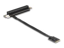 DELOCK + 2 Key A+E > PCIe x16 NVMe Adaptateur gew. 20cm câble