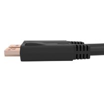 Cable DisplayPort C2G 6 pies (1,8 m), compatible TAA, cierr