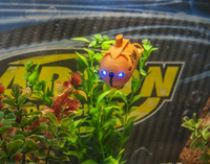 Bateau télécommandé Carson RC XS Deep Sea Dragon 100 % RTR orange