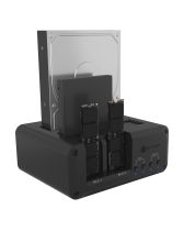 achat Station d´ accueil - ICY BOX IB-2925MS-CU31, Dockingstation Noir | fur: 2Ã— + 2-SSDs (NVMe 61214
