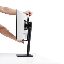 Startech Halterung für 2 Monitore